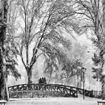 thumbnail_2024-021_Yarışma Birincisi_Abdurrahman_CETIN_kentpark (1)