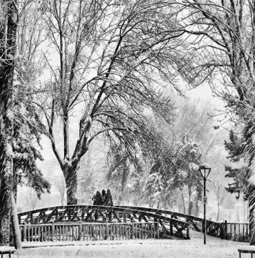 thumbnail_2024-021_Yarışma Birincisi_Abdurrahman_CETIN_kentpark (1)