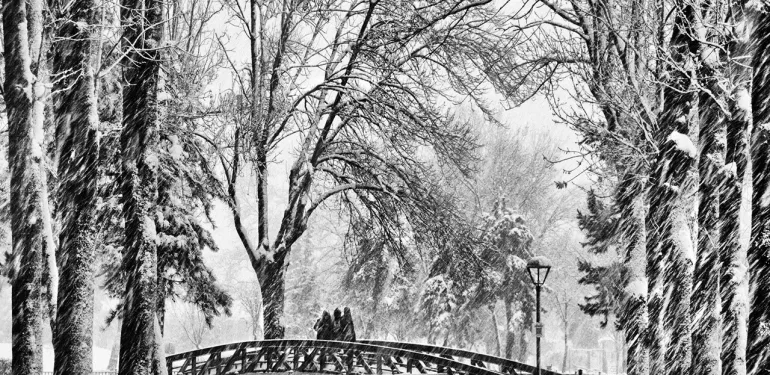thumbnail_2024-021_Yarışma Birincisi_Abdurrahman_CETIN_kentpark (1)