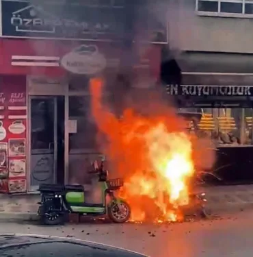 AW153231_01