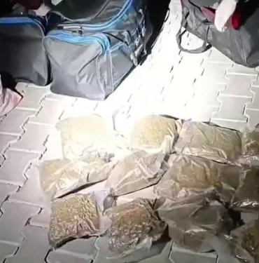 SAKARYA POLİSİNİN 29 GÜNLÜK BİLANÇOSU: 971 KİŞİ YAKALANDI