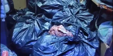 MİDE BULANDIRAN OLAY, TAM 700 KİLOGRAM YAKALANMIŞTI: İFADESİNDE İTİRAF ETTİ "İSTANBUL'DA SUCUK YAPILDIKTAN SONRA DÜZCE'DE PİYASAYA SÜRECEKTİK"