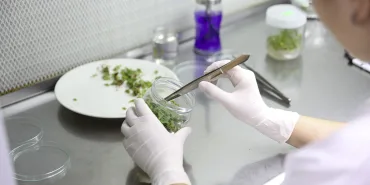 SUBÜ'NÜN 145 ÖĞRENCİ PROJESİNE TÜBİTAK DESTEĞİ