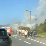 TEM'DE AĞAÇ YÜKLÜ TIR ALEVLERE TESLİM OLDU