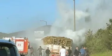 TEM'DE AĞAÇ YÜKLÜ TIR ALEVLERE TESLİM OLDU