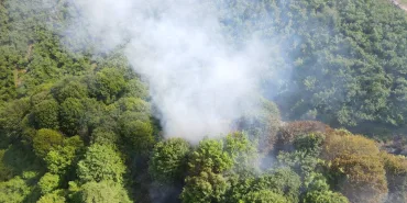 BAHÇE TEMİZLİĞİ İÇİN YAKILAN ATEŞ, ORMANIN 5 DÖNÜMLÜK ALANINDA TAHRİBATA YOL AÇTI