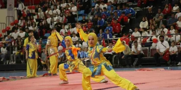 221556409-1716111544