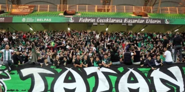 223865397-1716834788