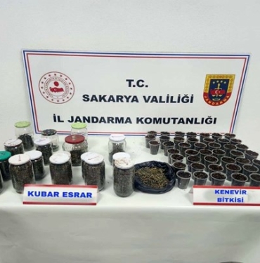 SAKARYA'DA UYUŞTURUCU VE KAÇAKÇILIK OPERASYONLARI: 195 ŞÜPHELİ YAKALANDI, 4'Ü TUTUKLANDI