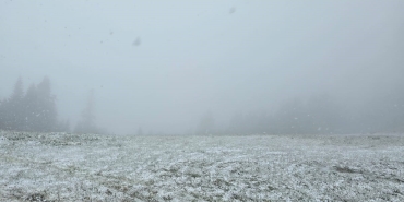 MAYIS'IN ORTASINDA SAKARYA'DA KAR YAĞIŞI