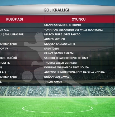 TRENDYOL 1. LİG'İN 2023-2024 SEZONU İSTATİSTİKLERİ AÇIKLANDI