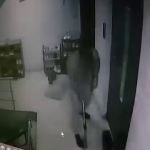 KEDİYE APARTMANDA SOPAYLA SALDIRDI
