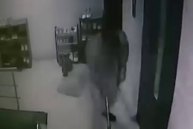 KEDİYE APARTMANDA SOPAYLA SALDIRDI