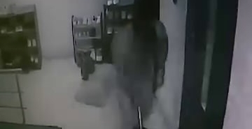 KEDİYE APARTMANDA SOPAYLA SALDIRDI