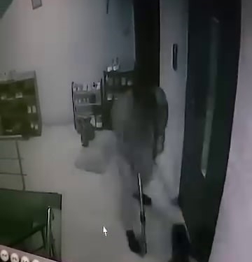 KEDİYE APARTMANDA SOPAYLA SALDIRDI