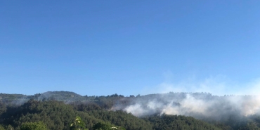 SAKARYA'DA ORMANLIK ALANDA ÇIKAN YANGINA HAVADAN VE KARADAN MÜDAHALE