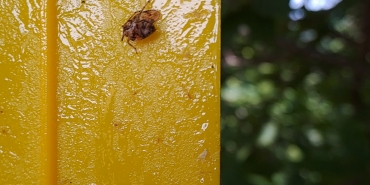 WhatsApp Görsel 2024-06-08 saat 14.01.32_ba08bd79