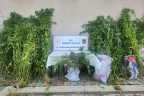 JANDARMADAN 3 İLÇEDE 3 AYRI OPERASYON: 4 GÖZALTI