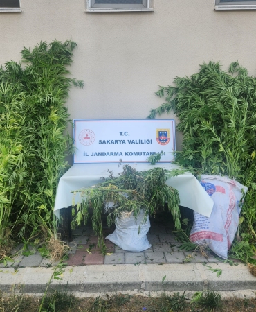 JANDARMADAN 3 İLÇEDE 3 AYRI OPERASYON: 4 GÖZALTI