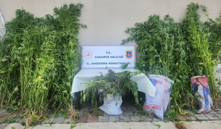 JANDARMADAN 3 İLÇEDE 3 AYRI OPERASYON: 4 GÖZALTI