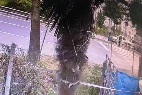 SAKARYA'DA FECİ KAZA: OTOMOBİL YAYA GEÇİDİNDE ANNE VE İKİ ÇOCUĞUNA ÇARPTI KAZA ANI KAMERADA: ANNE VE ÇOCUKLARI YOLA SAVRULDU, KAZAYI GÖREN ORAYA KOŞTU O ESNADA YAYA GEÇİDİNDEN GEÇEN BAŞKA BİR KADIN İLE İKİ ÇOCUK İSE KAZADAN KIL PAYI KURTULDU