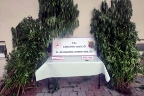 SAKARYA'DA JANDARMADAN UYUŞTURUCUYA GEÇİT YOK İL JANDARMA KOMUTANI OPERASYONU 'HASAT ZAMANI 2' DİYEREK PAYLAŞTI