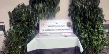 SAKARYA'DA JANDARMADAN UYUŞTURUCUYA GEÇİT YOK İL JANDARMA KOMUTANI OPERASYONU 'HASAT ZAMANI 2' DİYEREK PAYLAŞTI