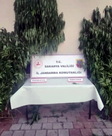 SAKARYA'DA JANDARMADAN UYUŞTURUCUYA GEÇİT YOK İL JANDARMA KOMUTANI OPERASYONU 'HASAT ZAMANI 2' DİYEREK PAYLAŞTI