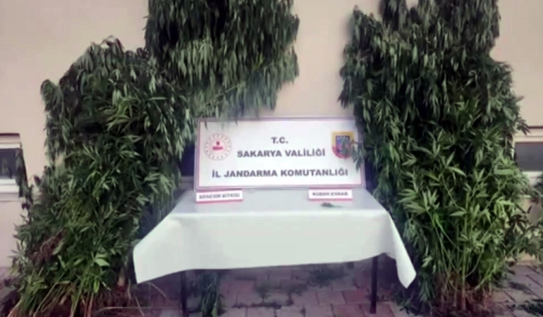 SAKARYA'DA JANDARMADAN UYUŞTURUCUYA GEÇİT YOK İL JANDARMA KOMUTANI OPERASYONU 'HASAT ZAMANI 2' DİYEREK PAYLAŞTI