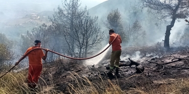 SAKARYA'DA GEÇTİĞİMİZ YILA GÖRE ORMAN YANGINLARINDA 2 BUÇUK KAT ARTIŞ YAŞANDI: JANDARMA UYARDI