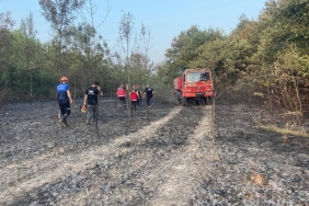 HENDEK'TE ORMANLIK ALANDA YANGIN