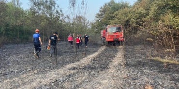 HENDEK'TE ORMANLIK ALANDA YANGIN
