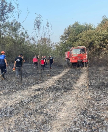 HENDEK'TE ORMANLIK ALANDA YANGIN
