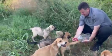 BELEDİYE BAŞKANINDAN ÖRNEK DAVRANIŞ: YAVRU KÖPEKLERE ELLERİYLE SU İÇİRDİ