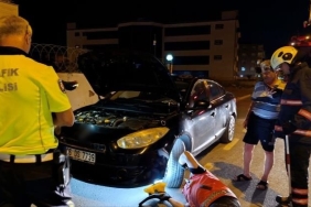 OTOMOBİLDE YILAN ALARMI: MERAKLI GÖZLER ARASINDA DAKİKALARCA OTOMOBİLDE YILAN ARADILAR