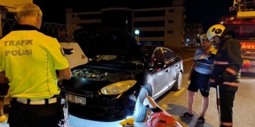 OTOMOBİLDE YILAN ALARMI: MERAKLI GÖZLER ARASINDA DAKİKALARCA OTOMOBİLDE YILAN ARADILAR