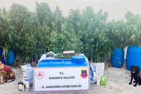 SAKARYA'DA JANDARMADAN UYUŞTURUCU OPERASYONLARI: 6 TUTUKLAMA