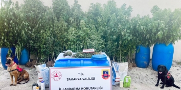 SAKARYA'DA JANDARMADAN UYUŞTURUCU OPERASYONLARI: 6 TUTUKLAMA