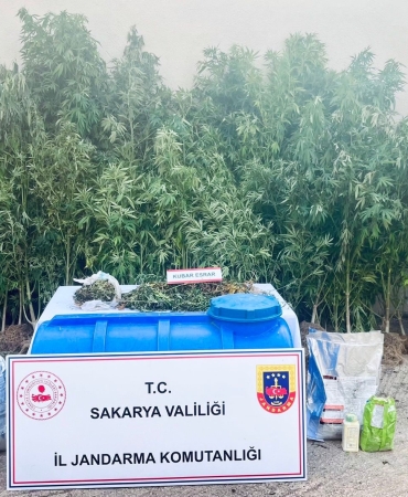SAKARYA'DA JANDARMADAN UYUŞTURUCU OPERASYONLARI: 6 TUTUKLAMA