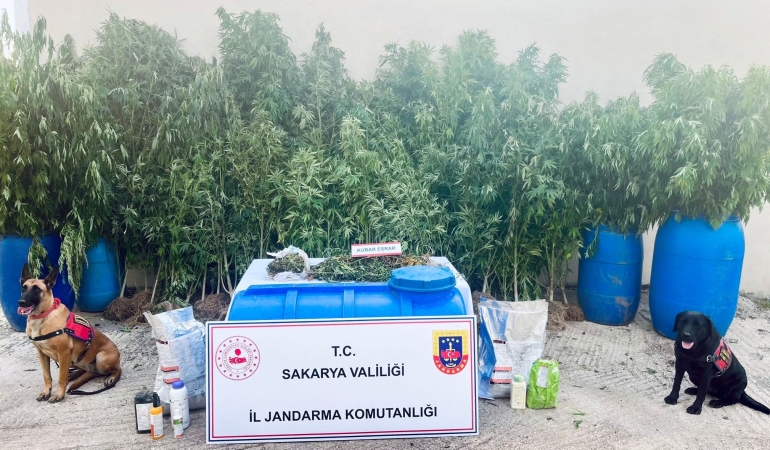 SAKARYA'DA JANDARMADAN UYUŞTURUCU OPERASYONLARI: 6 TUTUKLAMA