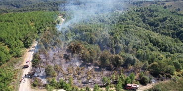 SAKARYA'DA KORKUTAN ORMAN YANGINI 20 DÖNÜMLÜK ARAZİ YANDI, EKİPLER 3 SAATİN SONUNDA KONTROL ALTINA ALDI