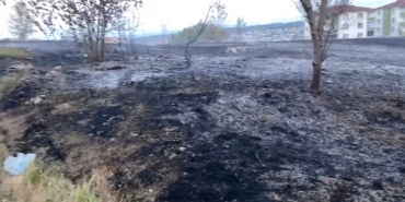 SAKARYA'DA KORKUTAN YANGIN: MAHALLELİ SOKAĞA DÖKÜLDÜ YERLEŞİM ALANINDAKİ OTLUK ALANDA ÇIKAN YANGIN İTFAİYE EKİPLERİNCE SÖNDÜRÜLDÜ