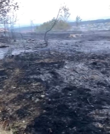 SAKARYA'DA KORKUTAN YANGIN: MAHALLELİ SOKAĞA DÖKÜLDÜ YERLEŞİM ALANINDAKİ OTLUK ALANDA ÇIKAN YANGIN İTFAİYE EKİPLERİNCE SÖNDÜRÜLDÜ