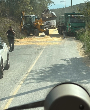 KAMYONUN KAPAĞI AÇILDI YOL MISIR TARLASINA DÖNDÜ
