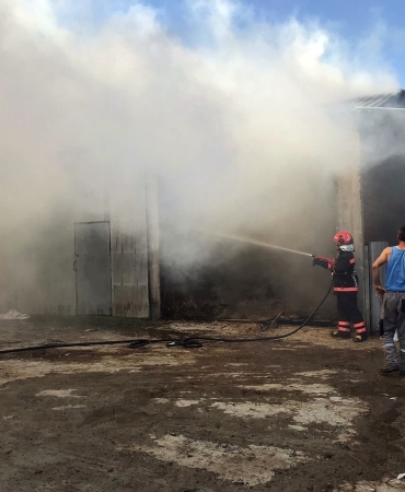 SAKARYA'DA 2 AHIR VE 2 SAMANLIK ALEVLERE TESLİM OLDU: 1 YARALI 1 BUZAĞI TELEF OLDU, 5 BİN BALYA SAMAN KÜLE DÖNDÜ