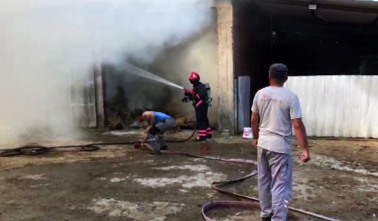 Sakarya’da 2 ahır ve 2 samanlık alevlere teslim oldu: 1 yaralı