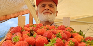 c9537f08-b425-479e-af8c-f3f1a0cb135d