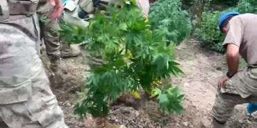 JANDARMADAN UYUŞTURUCU VE KAÇAKÇILIK OPERASYONU: 11 TUTUKLAMA