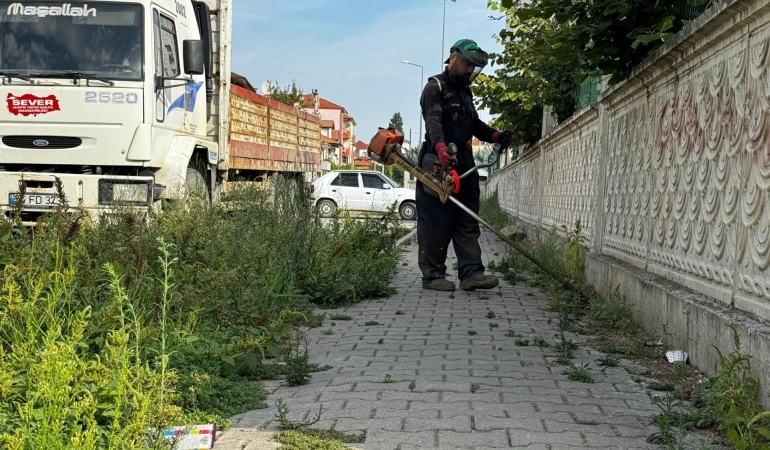 thumbnail_ERENLER’DE PARK VE BAHÇELERDE ÇALIŞMALAR SÜRÜYOR (2)