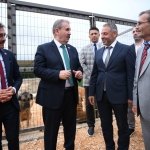 ERENLER BELEDİYESİ SOKAK HAYVANLARI GEÇİCİ BARINMA MERKEZİ AÇILDI (2)